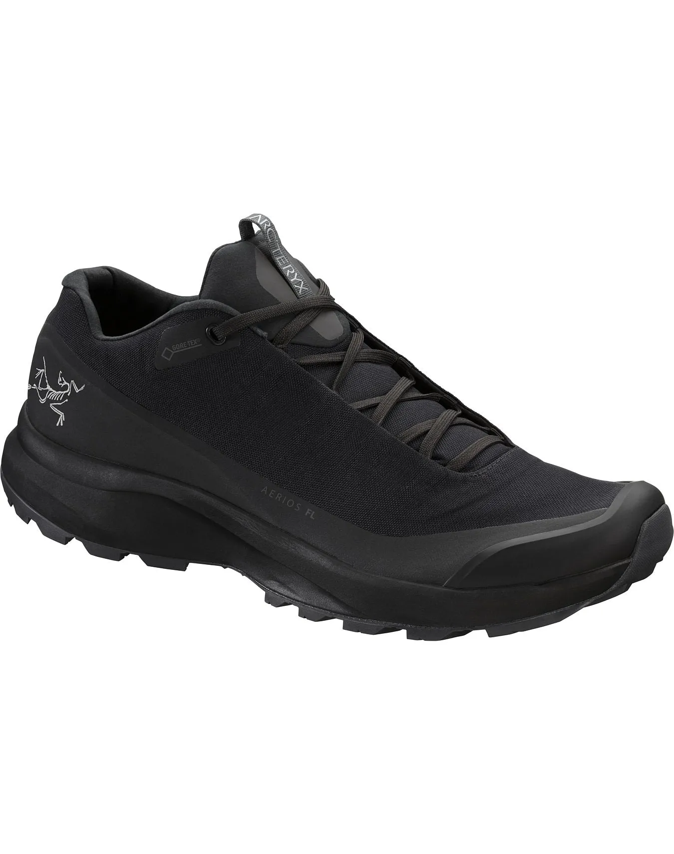 Aerios FL GTX Shoe Men's