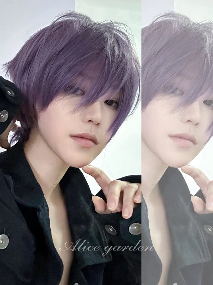 Casual Series Short Purple Ikemen Wig ON984